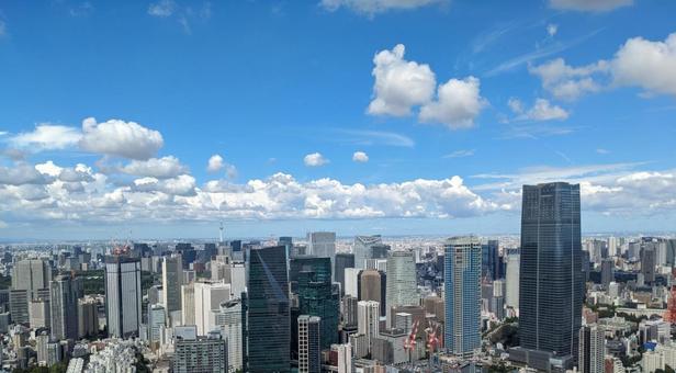 東京の高層ビル群 東京の高層ビル群の写真