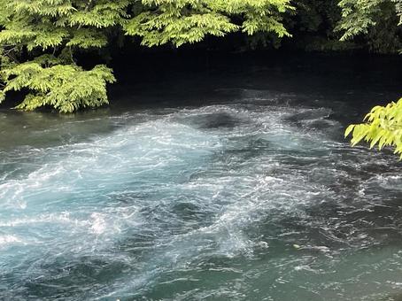 柿田川 柿田川の写真