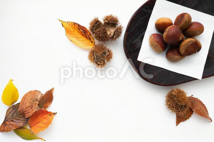 栗と落ち葉の和風デザイン 秋の味覚,栗,いがぐりの写真素材