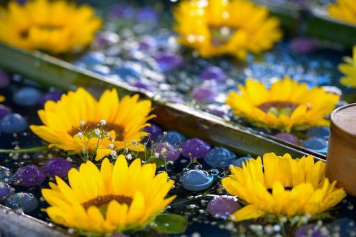 夏の柳谷観音の花手水 夏の柳谷観音の花手水の写真