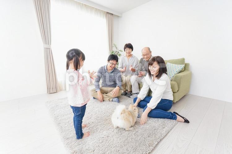 家族で犬と遊ぶ幸せな三世代ファミリー 住宅,夫婦,三世代の写真素材