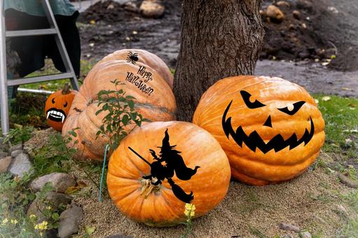 HALLOWEEN halloween,かぼちゃ,pumpkinの写真素材