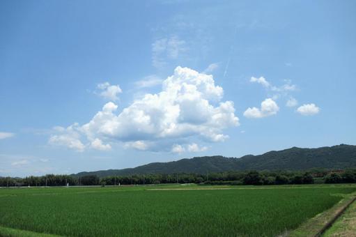 田園のはるか奥に浮かぶ初夏の雲 田園のはるか奥に浮かぶ初夏の雲 風景,景色,景観の写真素材
