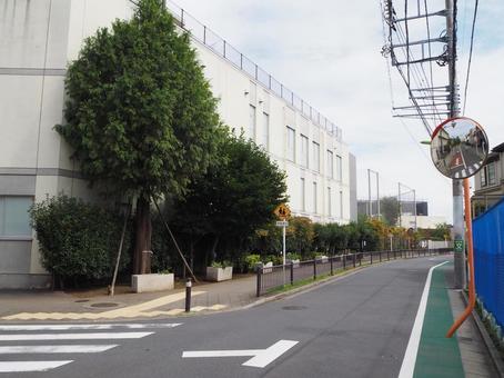 祖師ヶ谷の街並み(東京都・世田谷区) 祖師ヶ谷の街並み(東京都・世田谷区) 祖師ヶ谷通り,祖師ヶ谷,街並みの写真素材