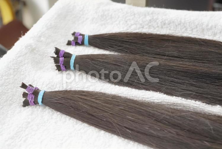 ヘアドネーション用に束ねられた髪の毛 ヘアドネーション,髪,寄付の写真素材