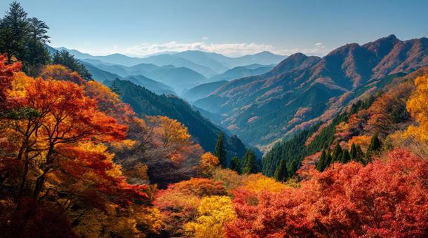 紅葉した秋の山 紅葉した秋の山の写真