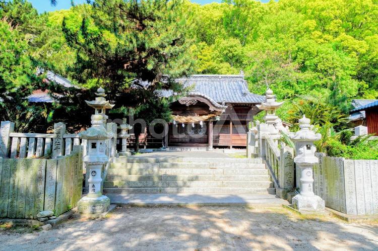 愛媛松山・北条鹿島の鹿島神社 北条鹿島,瀬戸内海,鹿島神社の写真素材