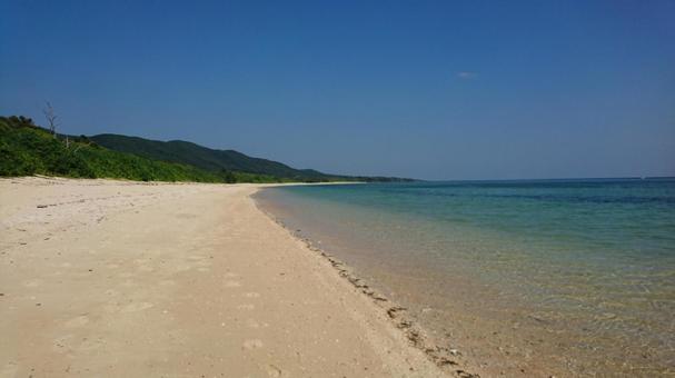 西表島の綺麗な浜辺 西表島の綺麗な浜辺の写真