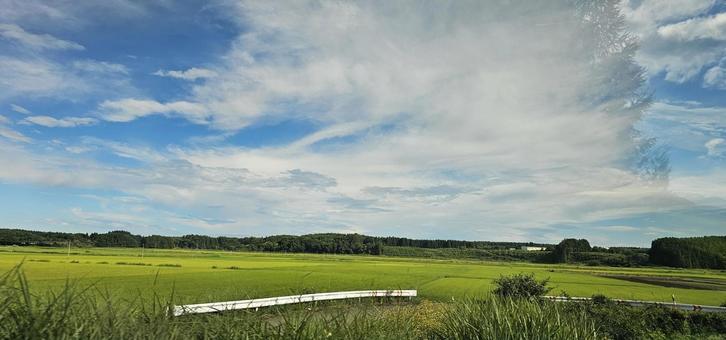 田園 稲,空,風景の写真素材