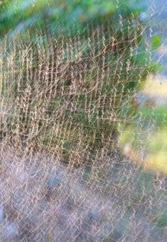 網目の罠 網目の罠 音楽,奏でる,蜘蛛の巣の写真素材