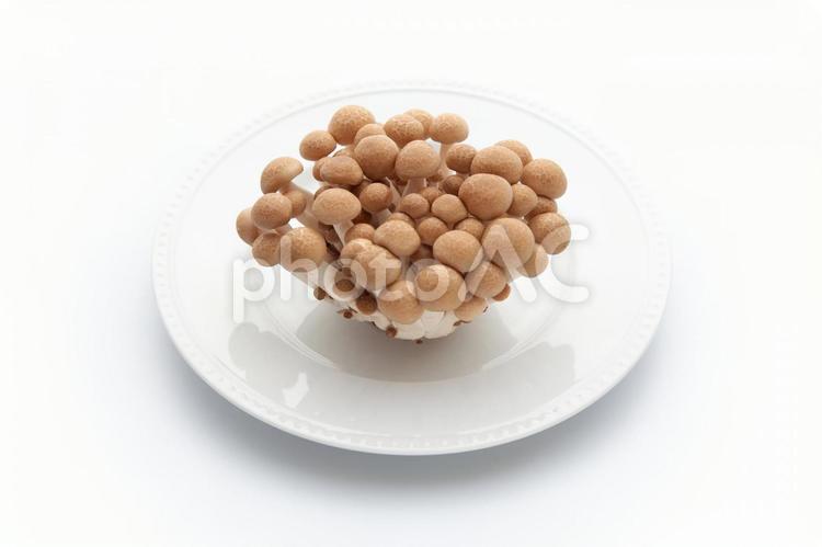 お皿にのせたブナシメジ 白背景 きのこ,キノコ,しめじの写真素材