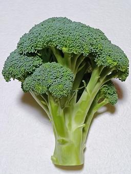 ブロッコリー ブロッコリー,野菜,食材の写真素材