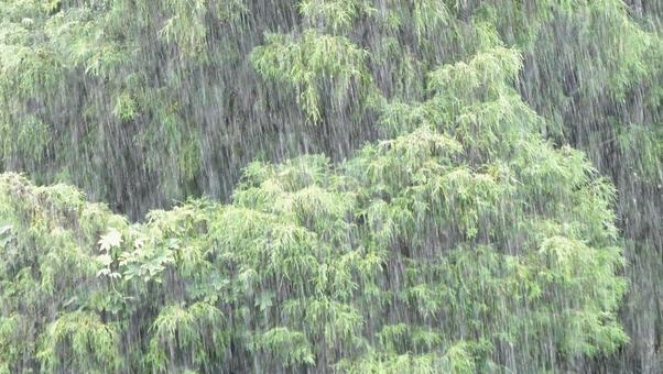 Photo, heavy rain, thunderstorm, guerrilla thunderstorm, 
