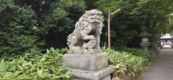 神炊館神社 風景 神炊館神社 風景の写真