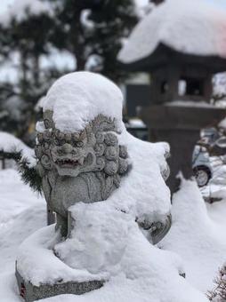 雪にまみれる神社の狛犬 積雪,雪,狛犬の写真素材
