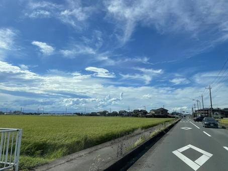 田んぼ 田んぼの写真