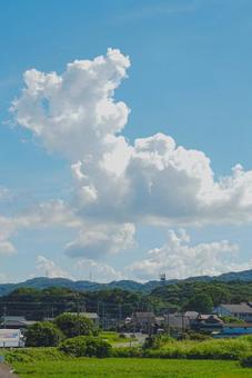 夏の空 夏の空の写真