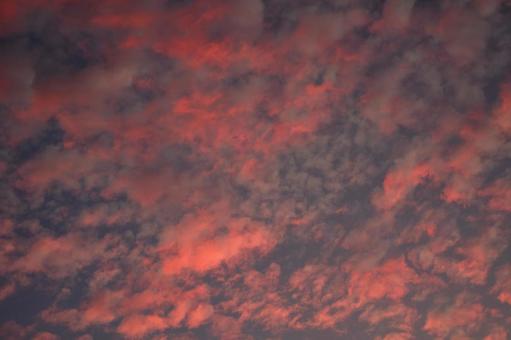 茜雲 茜雲の写真