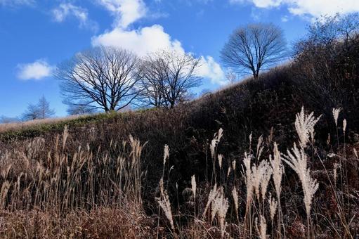 秋の八島湿原の写真