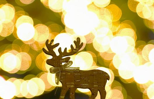 トナカイ＆玉ボケ クリスマス,トナカイ,背景ボケの写真素材
