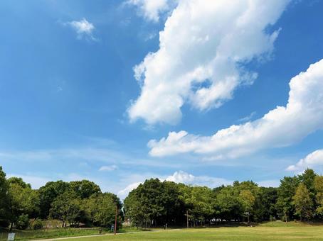 白い雲が浮かぶ青空と公園の広場 空模様,空,雲の写真素材
