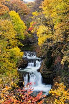 秋の鳳鳴四十八滝⒇の写真