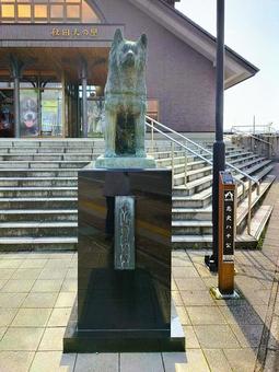 秋田犬の里とその周辺4 秋田犬,秋田犬の里,大館市観光交流施設の写真素材