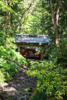 新緑の渓流と赤い橋 自然,風景,森の写真素材
