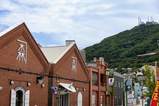 函館赤レンガ倉庫と函館山 函館赤レンガ倉庫と函館山 函館,赤レンガ倉庫,函館山の写真素材