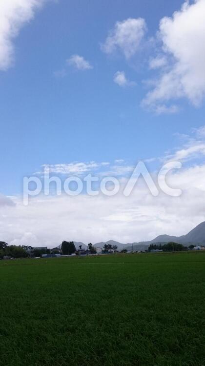 初夏の田園風景 青空,白い雲,田んぼの写真素材