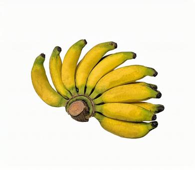 バナナ　レップムーナーン種　PSD素材 くだもの,psd素材,レップムーナーン種の写真素材