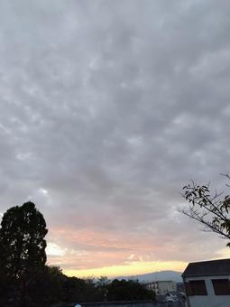 夜明け 夜明け,朝,グラデーションの写真素材