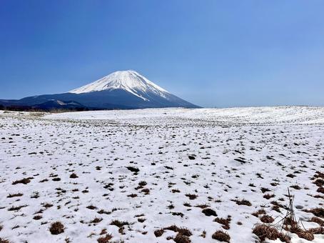草原に積もる雪と富士山 草原に積もる雪と富士山 富士山,雪,冬の写真素材