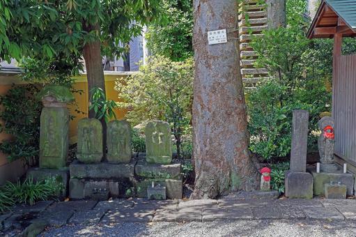 智清寺(板橋) 智清寺(板橋) 智清寺,浄土宗,見誉智清の写真素材