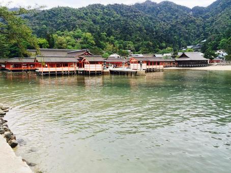 厳島神社 厳島神社,広島,海の写真素材