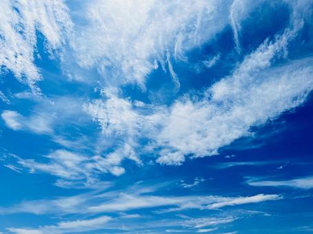 青空に広がる美しい白い雲 青空に広がる美しい白い雲 青空,空,雲の写真素材