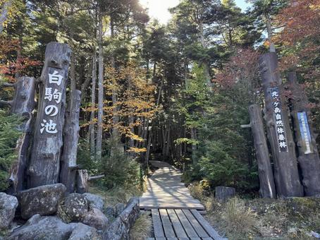 白駒池の入口の写真