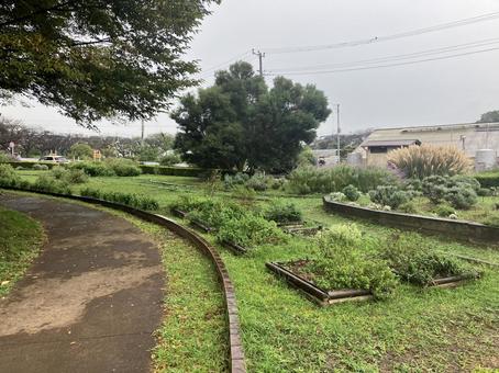 ガーデン② ガーデン② 公園,ガーデン,ハーブの写真素材