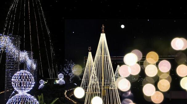 はままつフラワーパーク　イルミネーション イルミネーション,夜景,クリスマスの写真素材