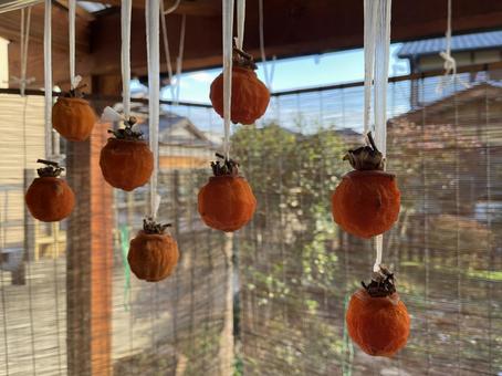 干し柿 干し柿,柿,柿色の写真素材