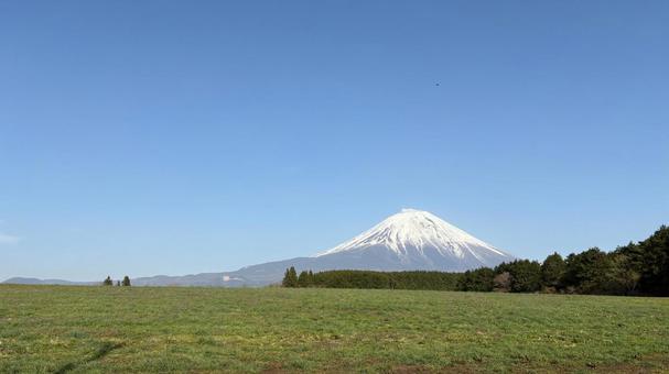 富士山と広大な緑の草原 富士山と広大な緑の草原 富士山,草原,緑の写真素材