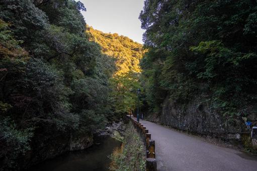 箕面の紅葉 箕面の紅葉 箕面,紅葉,もみじの写真素材