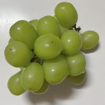 シャインマスカット シャインマスカット,葡萄,果物の写真素材