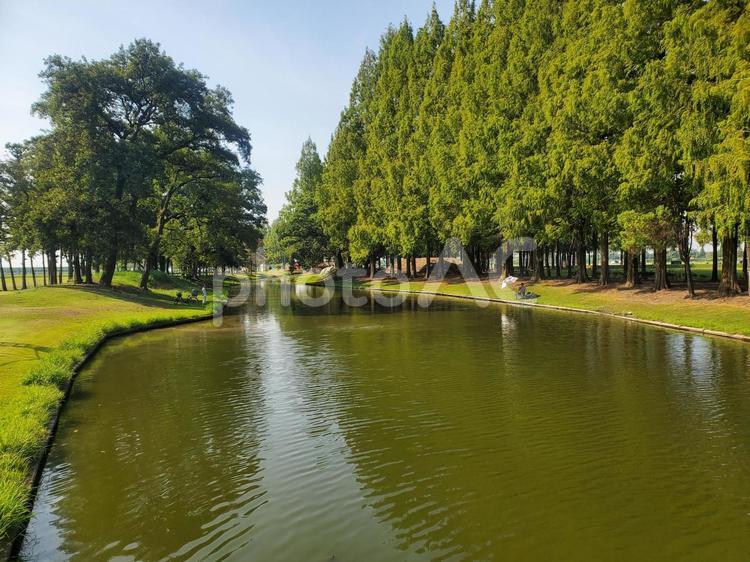 大宮けんぽグラウンド、山王堀 大宮,大宮けんぽグラウンド,山王堀の写真素材