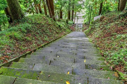 那珂川町 靜神社 石段(栃木) 那珂川町 靜神社 石段(栃木) 那珂川町,静神社,鳥居の写真素材