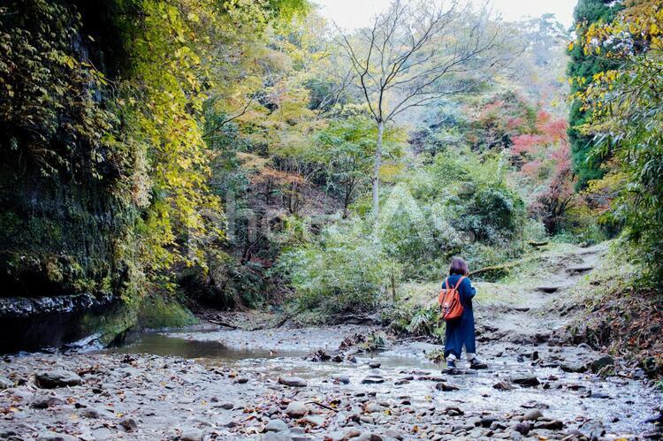 千葉の養老渓谷ハイキング（秋）大福山・梅ヶ瀬コース 養老渓谷,ハイキング,千葉の写真素材