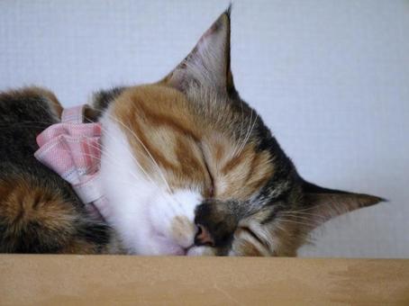 I'm soothed by his sleeping face, JPG I'm soothed by his sleeping face, JPG
