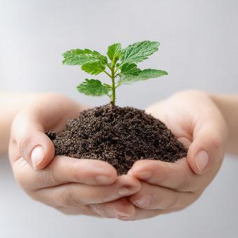 成長を見守る:優しく植物を支える手 成長を見守る:優しく植物を支える手の写真