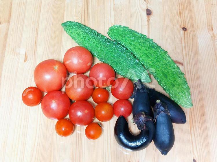 夏野菜_朝どれナス・トマト・ゴーヤ 食べ物,野菜,夏の写真素材