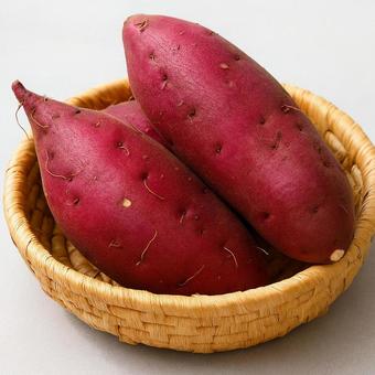 さつまいも さつまいもの写真